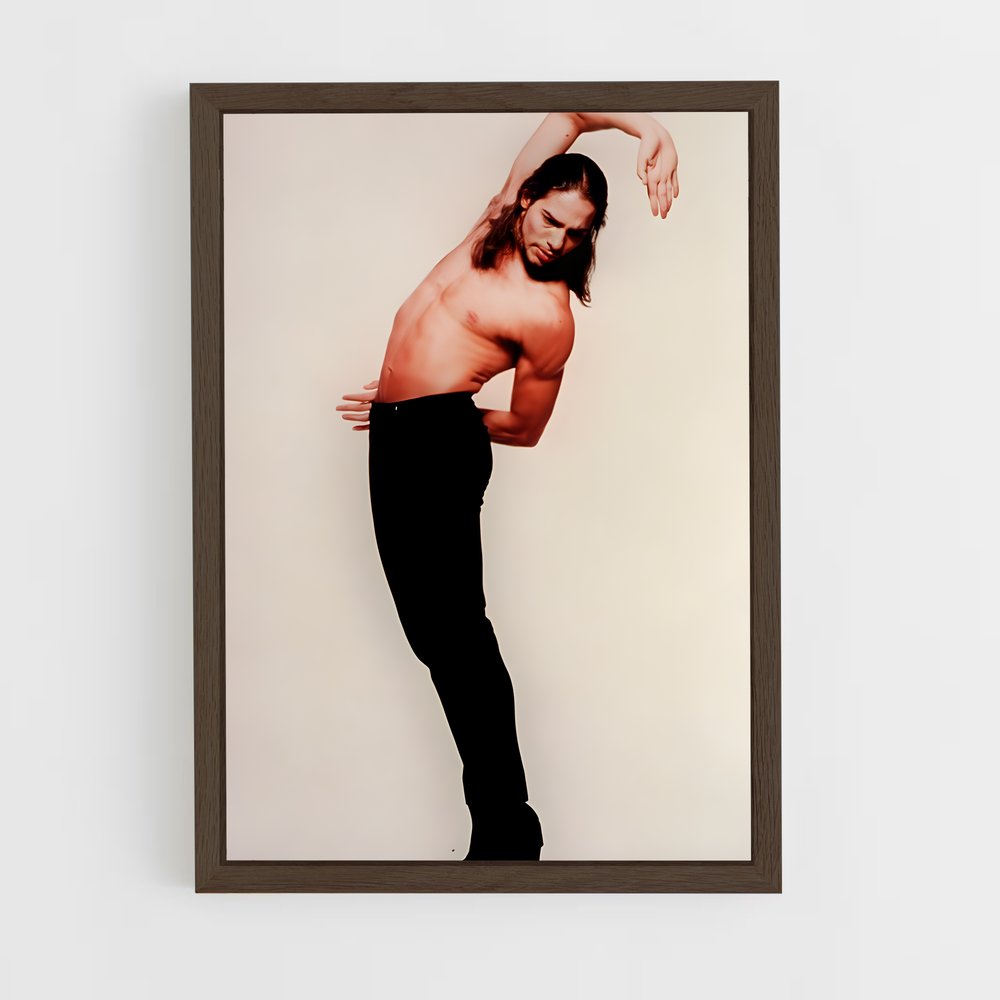 Poster Pasión de Danza – affiche Danse (vue 5)
